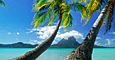 South Pacific Cruises