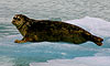 8 Nt Southbound Alaska's Inside Passage